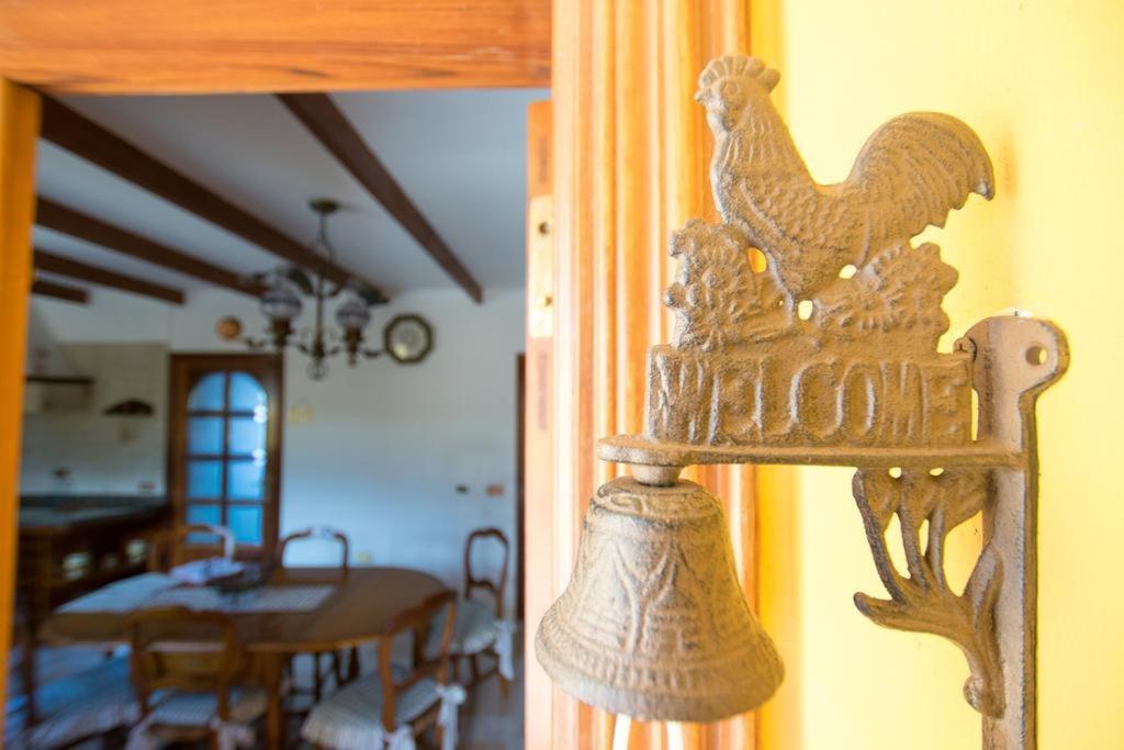Rural Villa With Private Pool Güimar Kültér fotó
